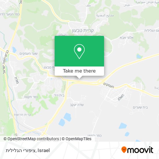 ציפורי הגלילית map