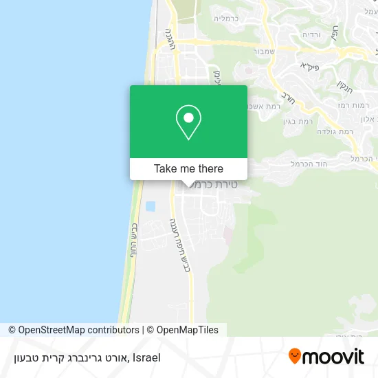 Карта אורט גרינברג קרית טבעון
