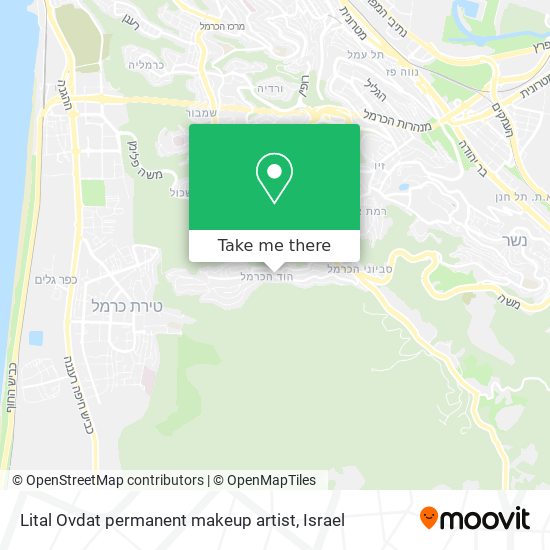 Карта Lital Ovdat permanent makeup artist