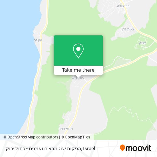 הפקות יצוג מרצים ואמנים - כחול ירוק map