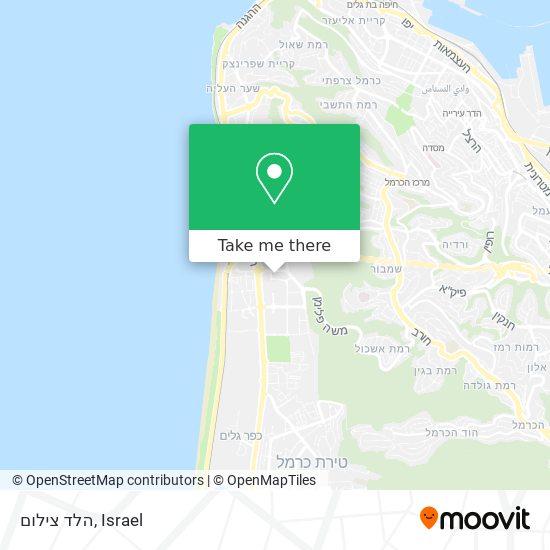 הלד צילום map