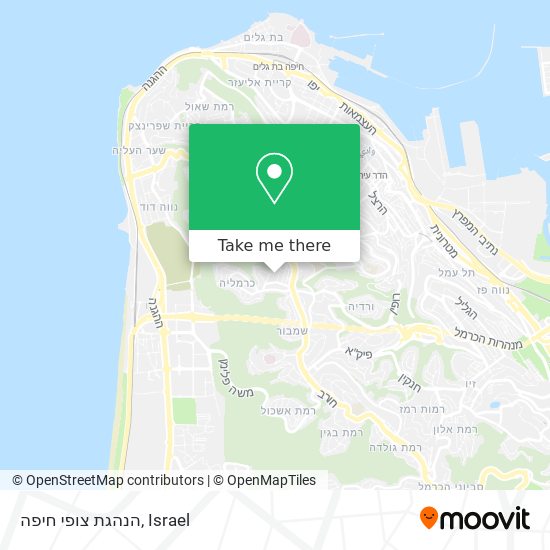 הנהגת צופי חיפה map