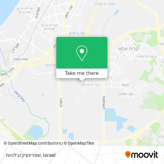 שפרינצק/כלניות map