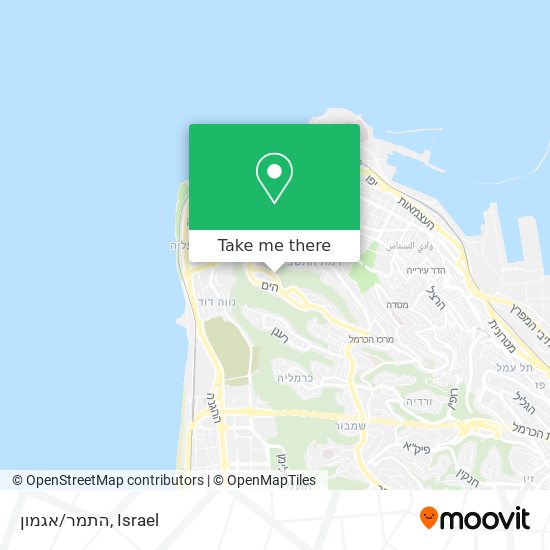 התמר/אגמון map