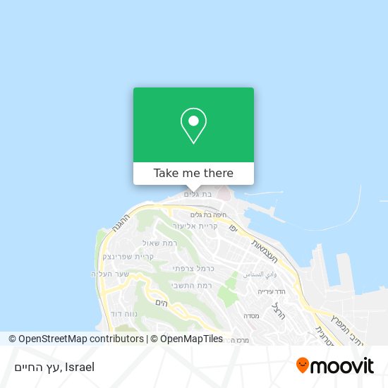 עץ החיים map