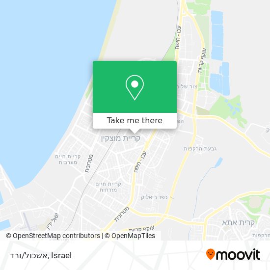 אשכול/ורד map