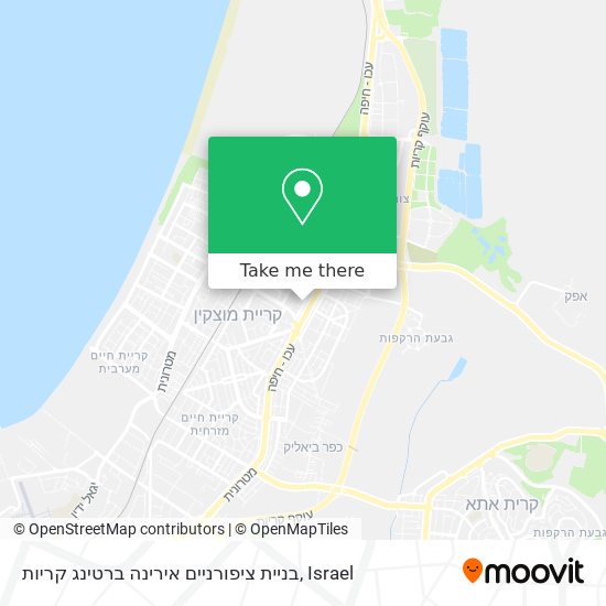 בניית ציפורניים אירינה ברטינג קריות map