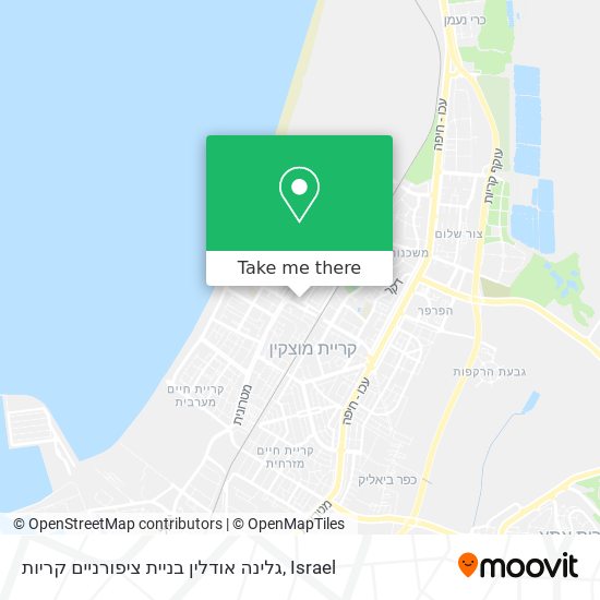 גלינה אודלין בניית ציפורניים קריות map