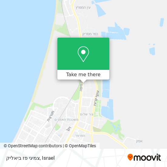 צמיגי פז ביאליק map