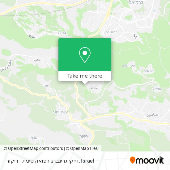 דייקי גרינברג רפואה סינית - דיקור map