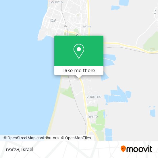 אלונית map