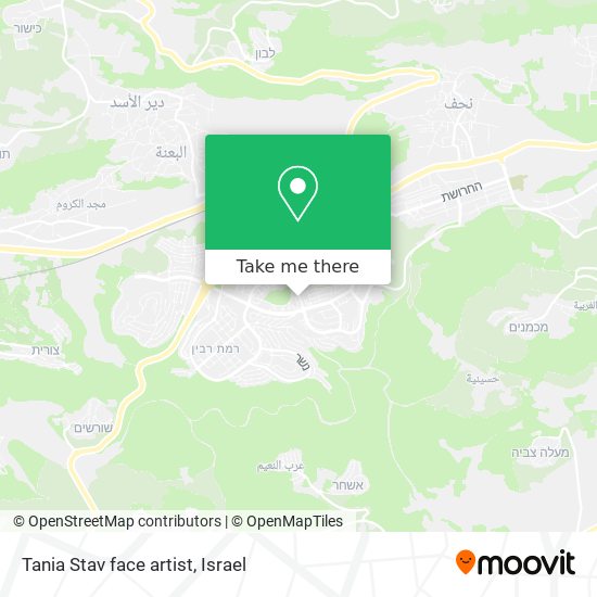 Tania Stav face artist map