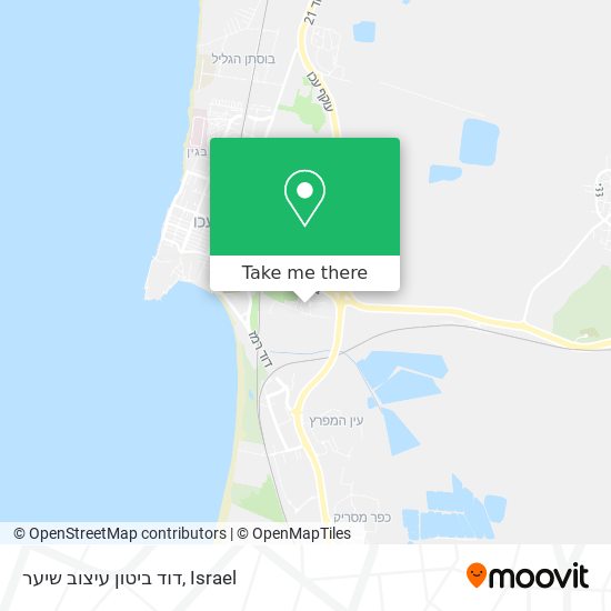 דוד ביטון עיצוב שיער map