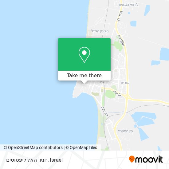 חניון האקליפטוסים map