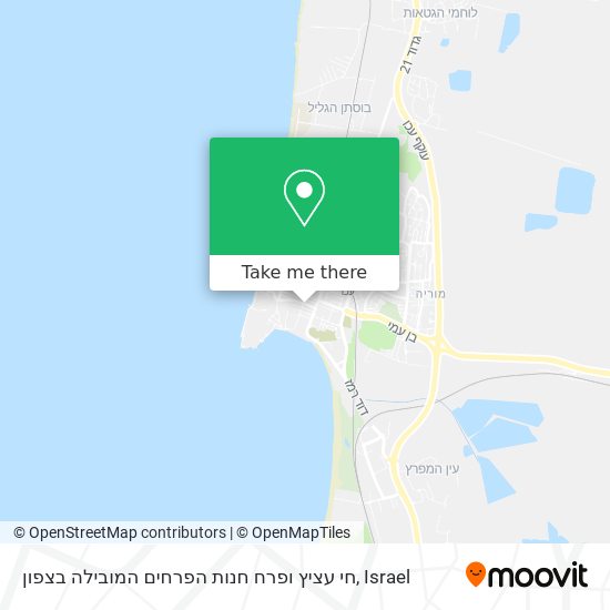 חי עציץ ופרח חנות הפרחים המובילה בצפון map