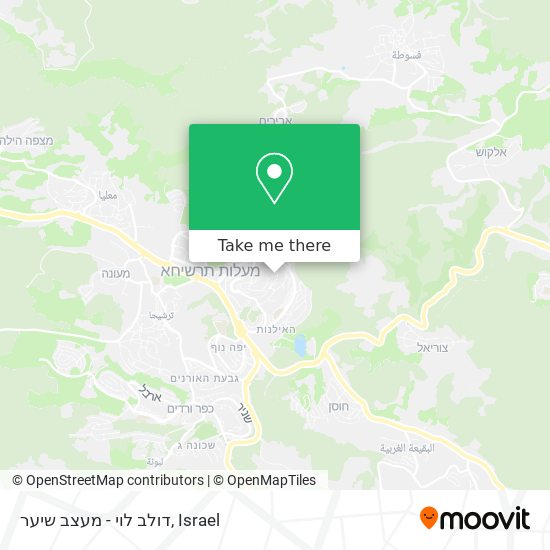 דולב לוי - מעצב שיער map