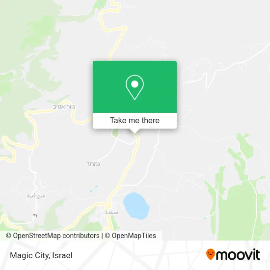 Карта Magic City