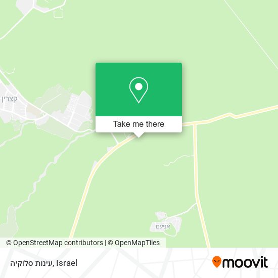 עינות סלוקיה map