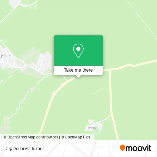 Карта עינות סלוקיה