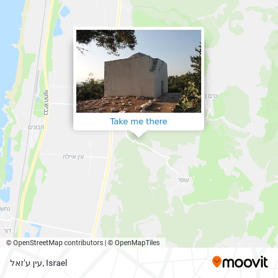 עין ע'זאל map