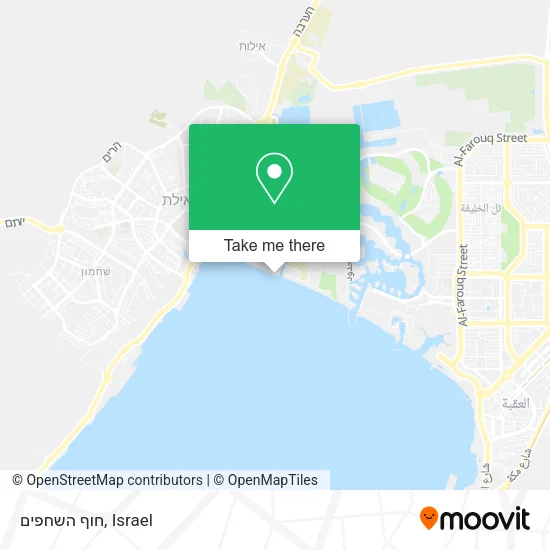 חוף השחפים map