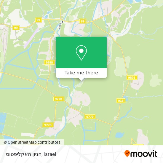 חניון האקליפטוס map