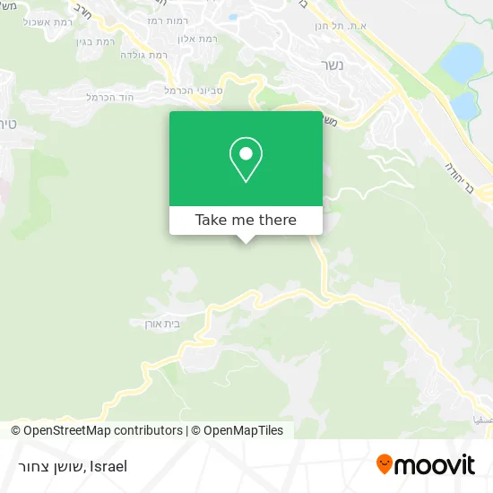 Карта שושן צחור