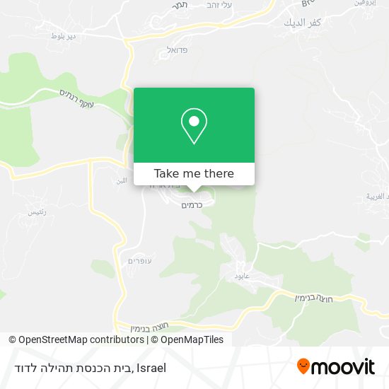 Карта בית הכנסת תהילה לדוד