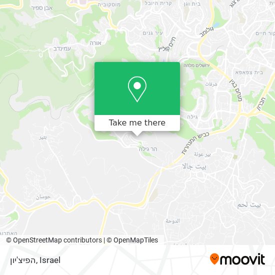 הפיצ'יון map