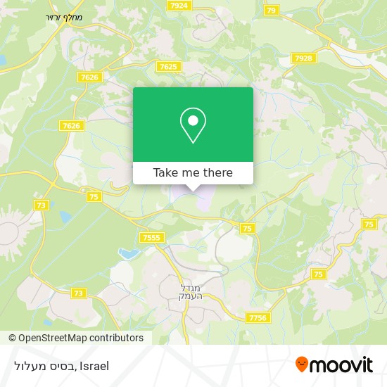 Карта בסיס מעלול