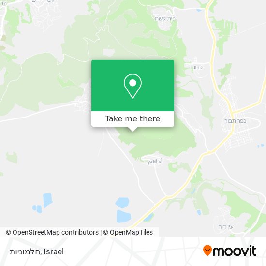 חלמוניות map