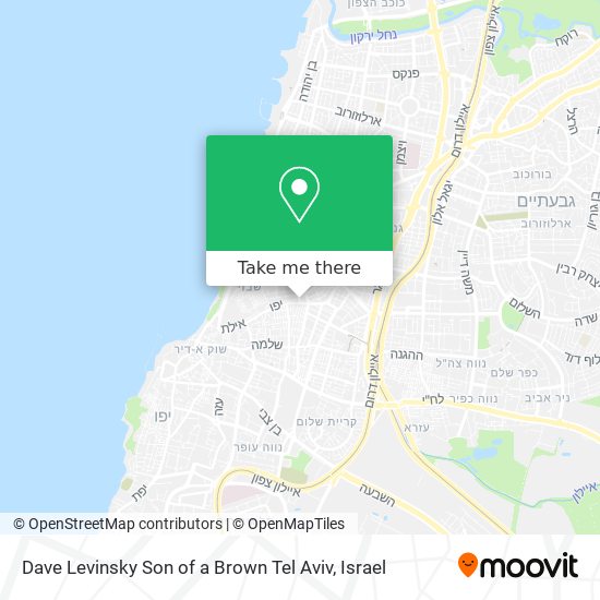 Dave Levinsky Son of a Brown Tel Aviv map