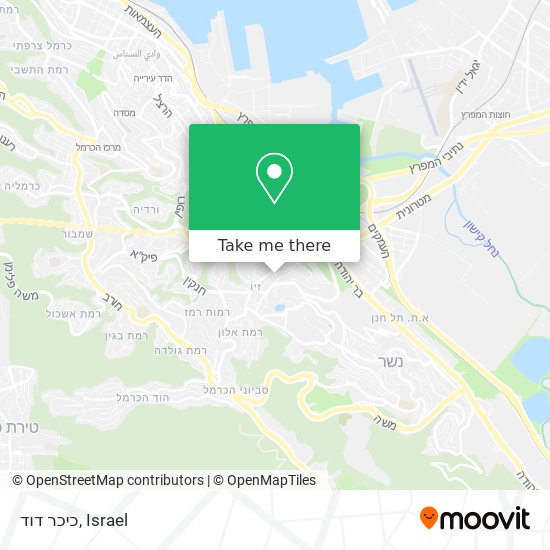 כיכר דוד map