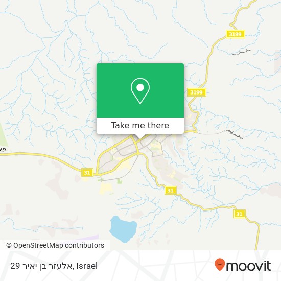 אלעזר בן יאיר 29 map