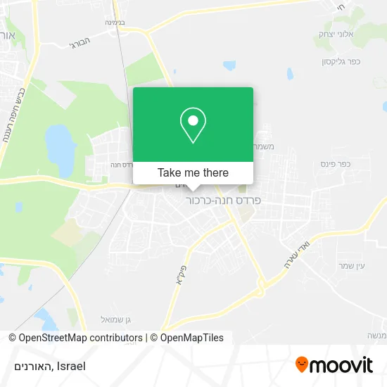 Карта האורנים