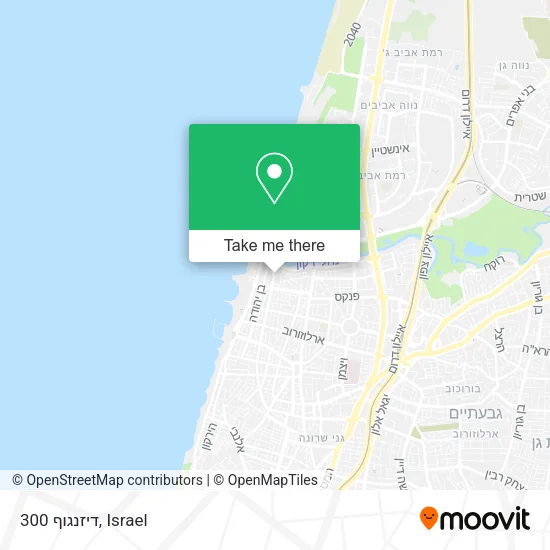 Карта דיזנגוף 300