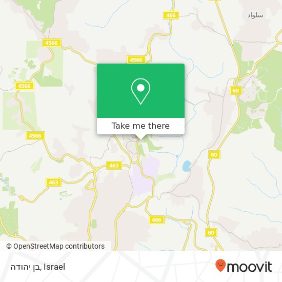 בן יהודה map
