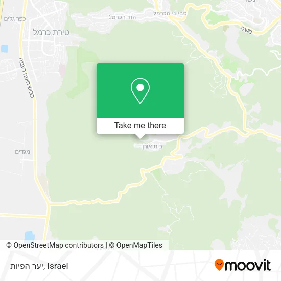 Карта יער הפיות