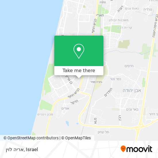 אריה לוין map