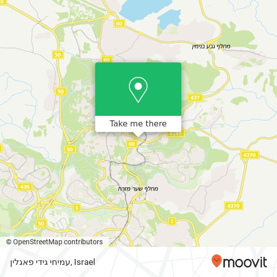 עמיחי גידי פאגלין map