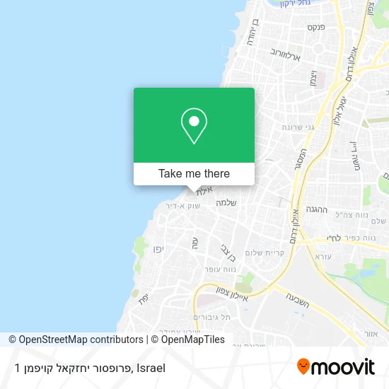 Карта פרופסור יחזקאל קויפמן 1