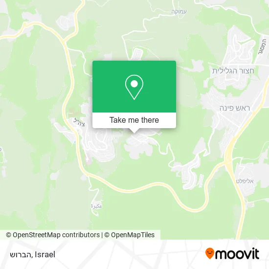 Карта הברוש