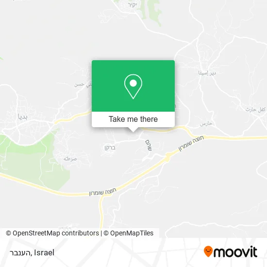 Карта הענבר