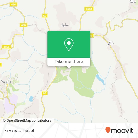 גבעת צבי map