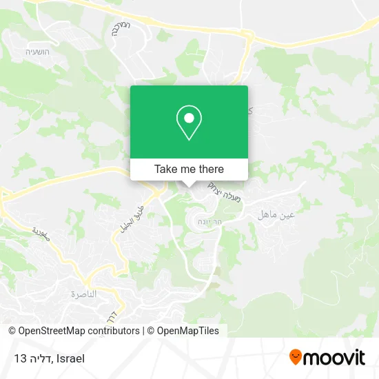 Карта דליה 13