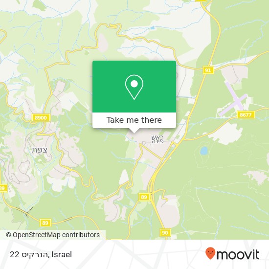 הנרקיס 22 map