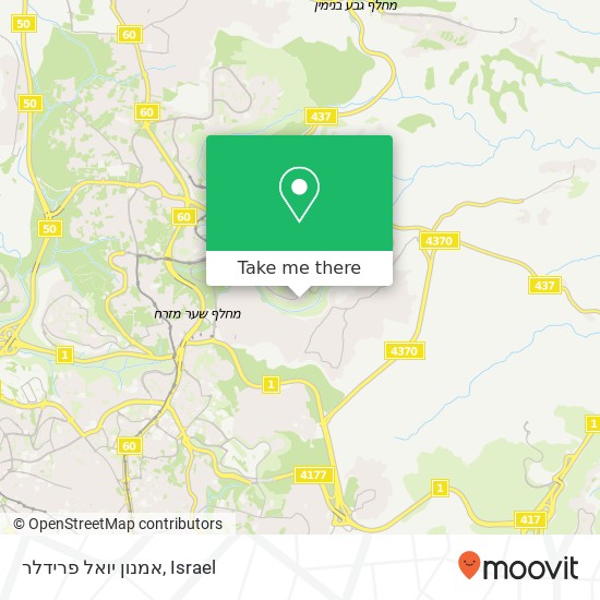 אמנון יואל פרידלר map