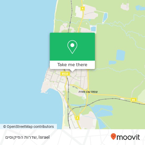 שדרות הפיקוסים map