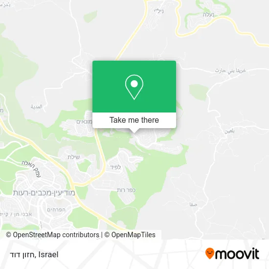 Карта חזון דוד