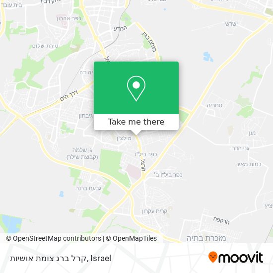 קרל ברג צומת אושיות map